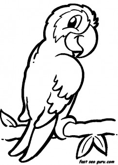 Printable jungle bird parrot coloring pages