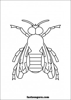 Bee insect coloring pages printable