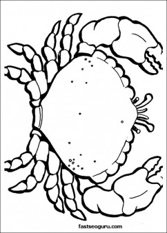 crab roe ocean print out coloring pages