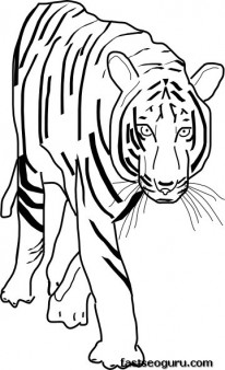 Printable coloring pages jungle Bengal Tigers
