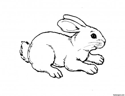 Printable kids coloring pages animal rabbit