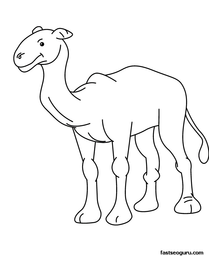 baby animal coloring pages for toddlers - photo #50