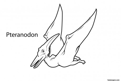 Printable dinosaur pteranodon coloring page