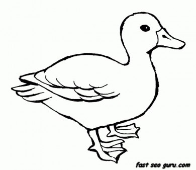 Printable Animal Duck coloring pages