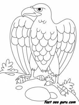 Printable animal eagle coloring book page