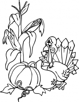 Printable thanksgiving turkey harvest and pumpkin coloring page