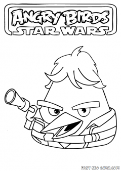 Printable Angry Birds Star Wars Hasn solo Coloring Pages
