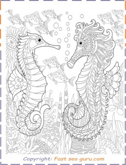 Free seahorse coloring pages for adults