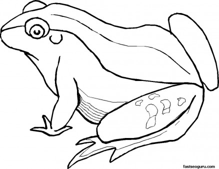 Print out Big Frog Printable coloring pages