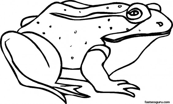 Free Printable Sick Frog coloring pages for kids