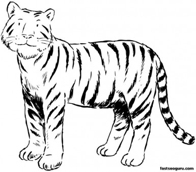 Printable Tiger Coloring Pages for Kids 
