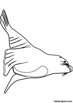 Printable Ocean Sea lion coloring page for kids
