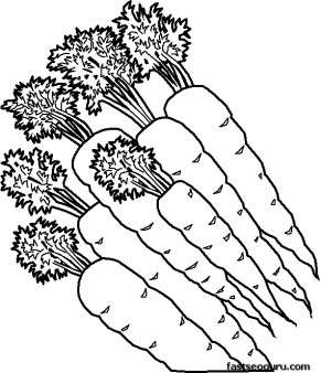 Printable vegetable Carrots coloring page