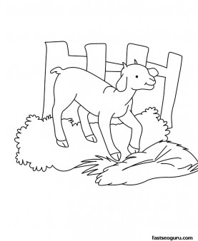 Printable Farm animal Baby goat Coloring page for kids