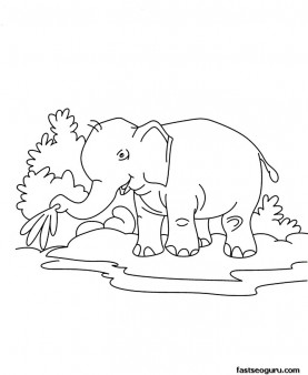 Printable jungle animal Baby elephant Coloring page for kids