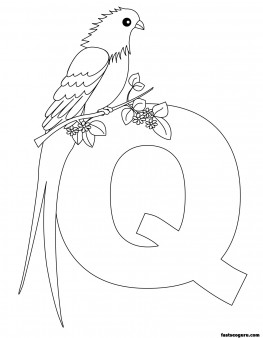  Printable Animal Alphabet worksheets Letter Q for Queen Whydah